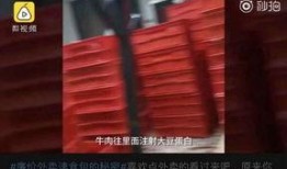 安徽杠岗香食品爆料视频,从爆料视频看传统美食的传承与创新